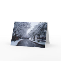 Winter 7 of 7 cards