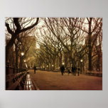 Winter Afternoon Central Park Print