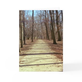 Winter Afternoon Greeting Card card