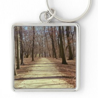 Winter Afternoon Keychain keychain