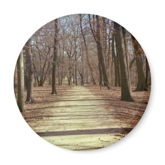 Winter Afternoon Magnet magnet