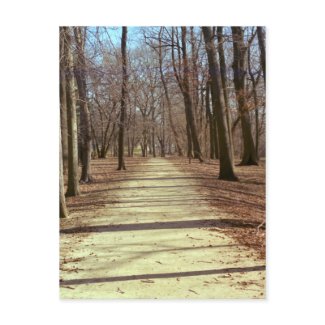 Winter Afternoon Postcard postcard