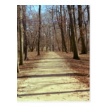 Winter Afternoon Postcard