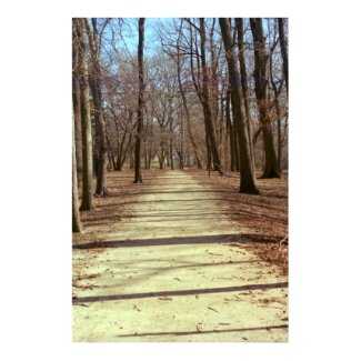 Winter Afternoon Poster print