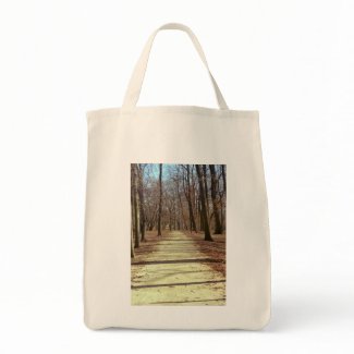 Winter Afternoon Tote Bag bag