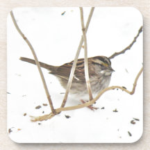 Winter and the Sparrow Coaster