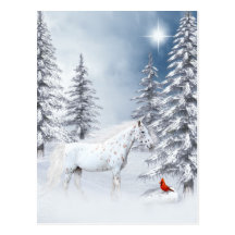 Winter appaloosa post cards