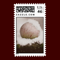 Winter Apple Stamp stamps