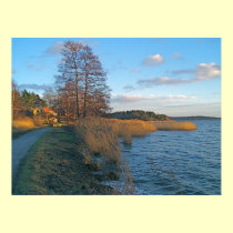 Winter Archipelago posters