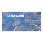 Winter Aspen Trees in Aspen, Colorado Photo Cards