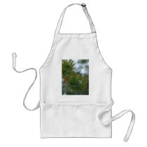 Winter At Bryce Canyon. aprons
