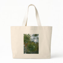 Winter At Bryce Canyon. bags