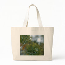 Winter At Bryce Canyon. bags