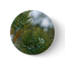 Winter At Bryce Canyon. buttons by lifesphere Winter At Bryce Canyon. buttons