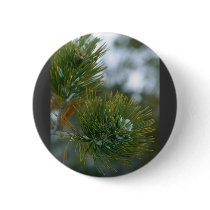Winter At Bryce Canyon. buttons by lifesphere Winter At Bryce Canyon. buttons