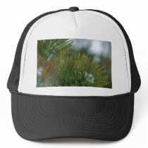 Winter At Bryce Canyon. hats by lifesphere Winter At Bryce Canyon. hats