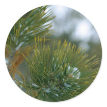 Winter At Bryce Canyon. stickers by lifesphere Winter At Bryce Canyon. stickers