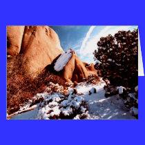 Winter at Joshua Tree National Park card cards