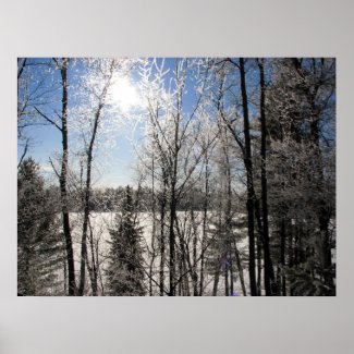 Winter Awe print