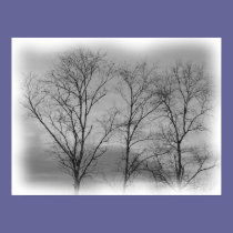 Winter Bare posters