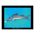 Winter Beauty Framed Poster posters by FishBum Winter Beauty Framed Poster posters