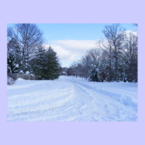 Winter Beauty posters