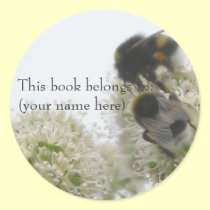 Winter bees stickers