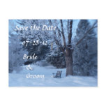 Winter Bench Wedding Postcards