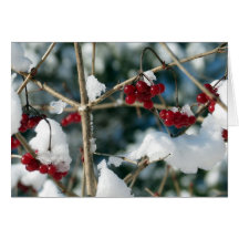Winter Berries Blank Greeting Card