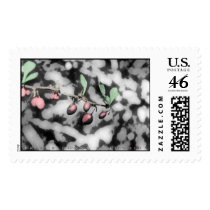 Winter Berries postage
