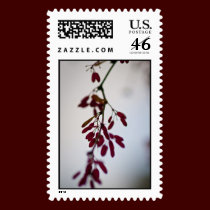 Winter Berries Postage stamps