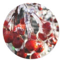 Winter Berries stickers by TLBeers Winter Berries stickers