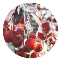 Winter Berries stickers by TLBeers Winter Berries stickers