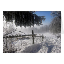 Winter-Beule cards by REDINARD Winter-Beule cards