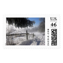 Winter-Beule postage by REDINARD Winter-Beule postage