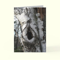 Winter Birch Trees cards by MoiraAshleigh Winter Birch Trees cards
