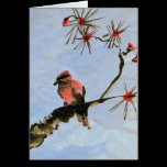 Winter Bird cards