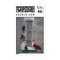 winter bird feeder stamps