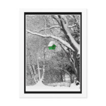 Winter Birdhouse Post Cards