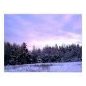 Winter Blanket (3) posters