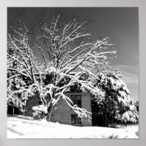 Winter Blast B+W Poster