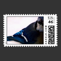 Winter Blue Jay stamps