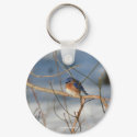 Winter Bluebird Animal Nature Photo Keychain by SmilinEyesTreasures Winter Bluebird Animal Nature Photo Keychain