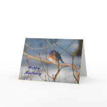 Winter Bluebird Animal Photo Birthday Card