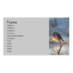 Winter Bluebird Nature Business Card
