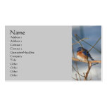 Winter Bluebird Nature Business Card