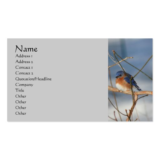 Winter Bluebird Nature Business Card (front side)