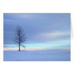 Winter Blues