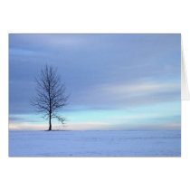 Winter Blues cards