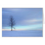 Winter Blues